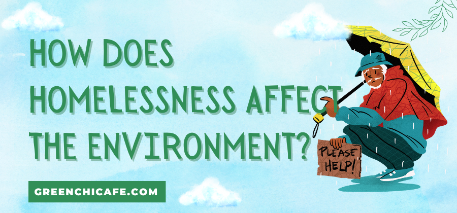 how does homelessness affect the environment