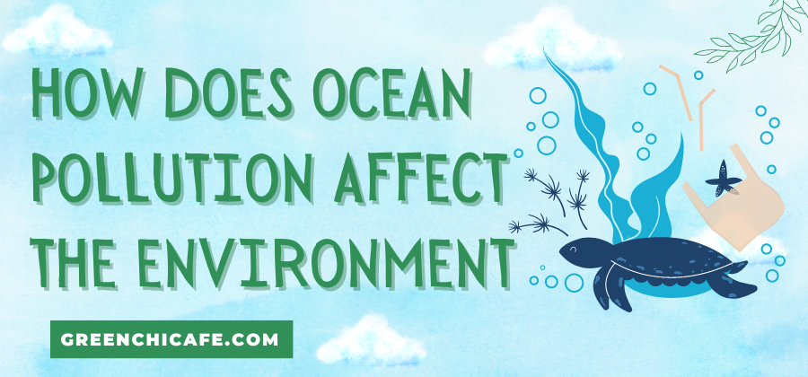 how does ocean pollution affect the environment