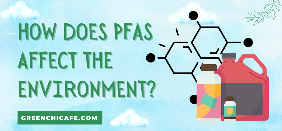 how does pfas affect the environment