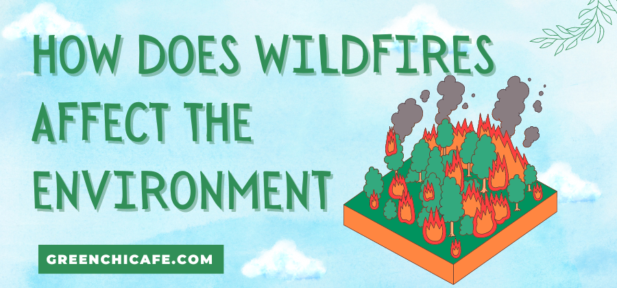 how does wildfires affect the environment
