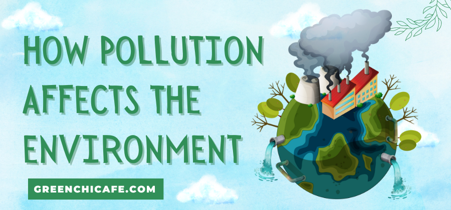 How Pollution Affects the Environment: An In-Depth Look At Pollutants