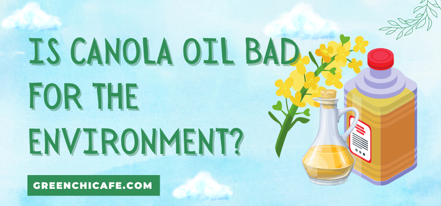 Is Canola Oil Bad For The Environment?
