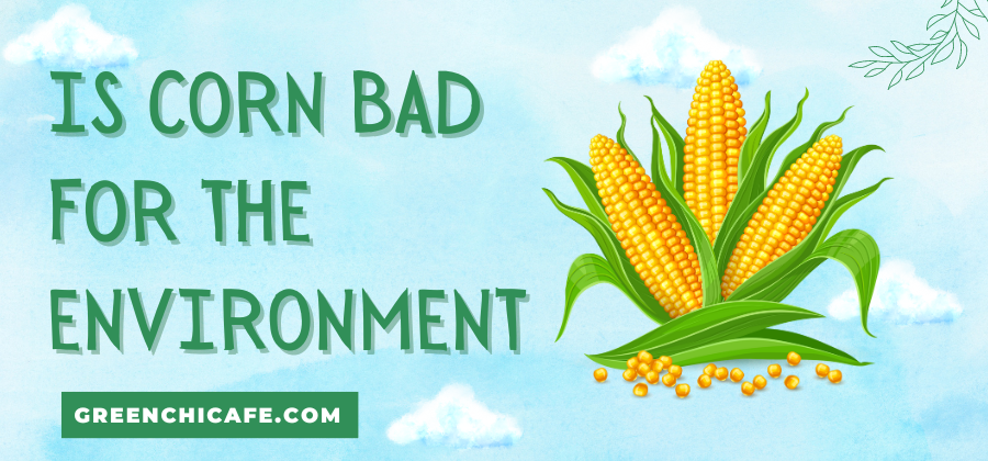 is corn bad for the environment