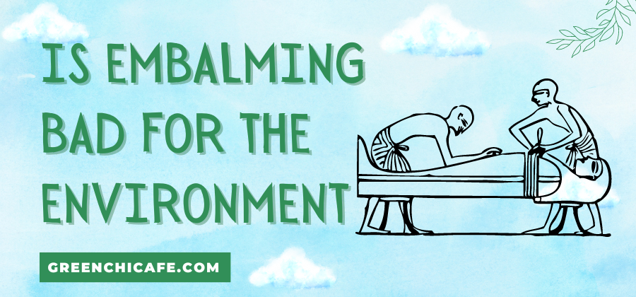 Is Embalming Bad for the Environment? A Look At The Environmental Impact of Death