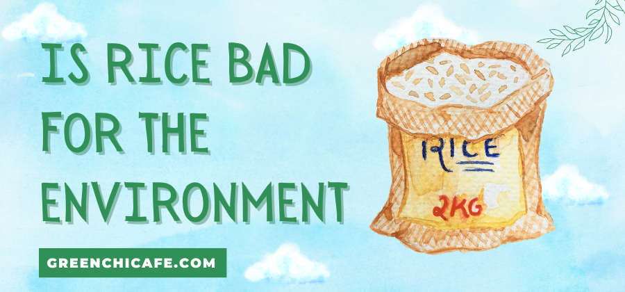 is rice bad for the environment