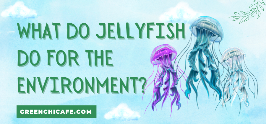 what do jellyfish do for the environment