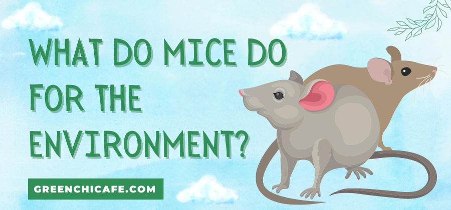 what do mice do for the environment