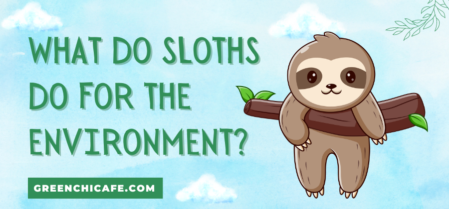what do sloths do for the environment