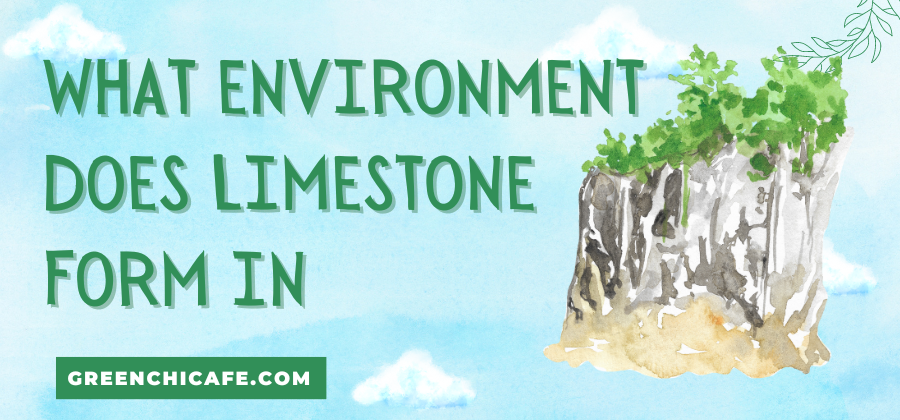 what environment does limestone form in