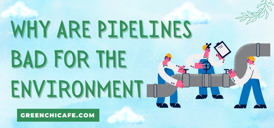 why are pipelines bad for the environment