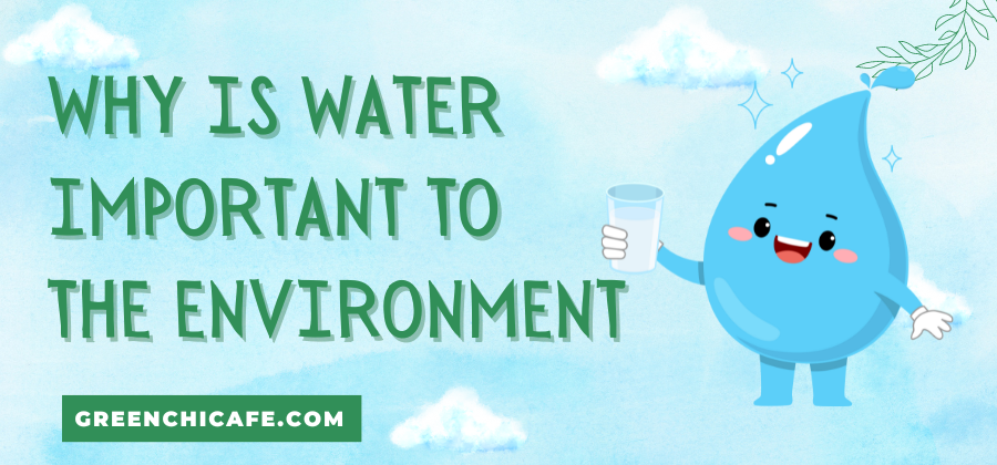 why is water important to the environment