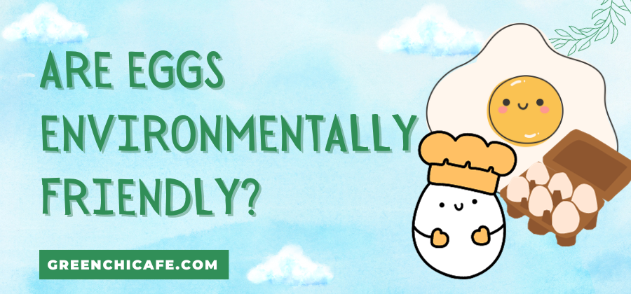 Are Eggs Environmentally Friendly