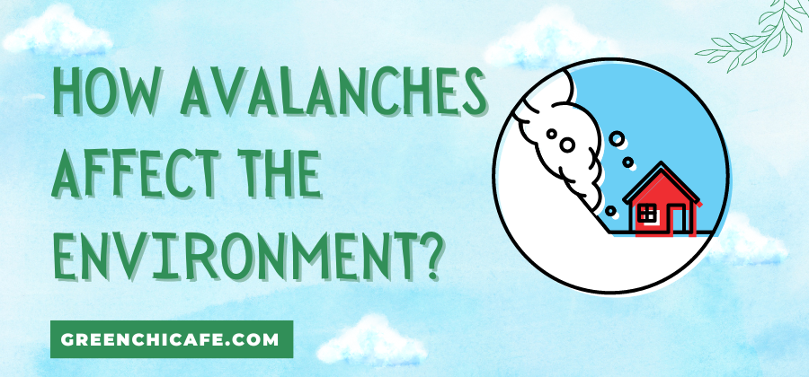 How Avalanches Affect the Environment