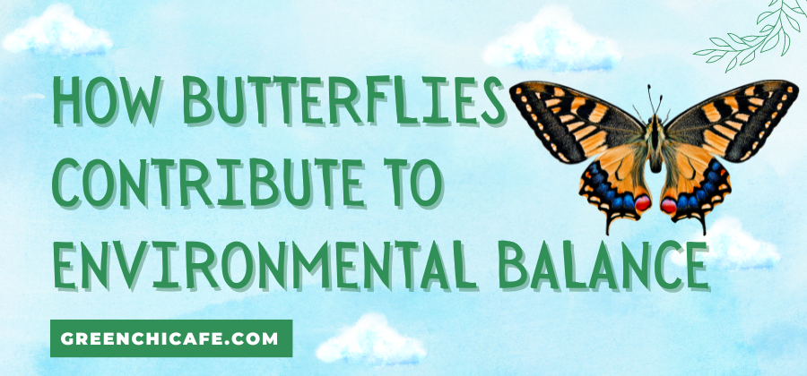 How Butterflies Contribute to Environmental Balance: Their Important Vital Role