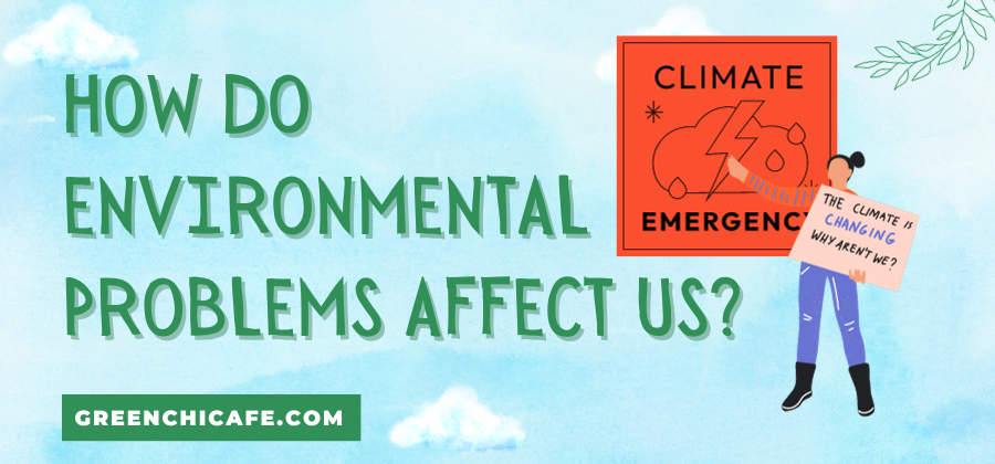 How Do Environmental Problems Affect Us