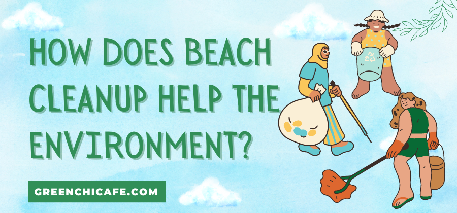 How Does Beach Cleanup Help the Environment