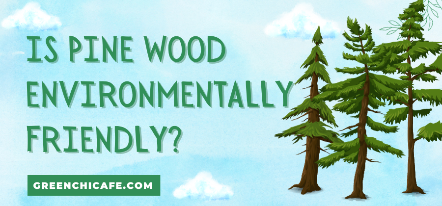Is Pine Wood Environmentally Friendly