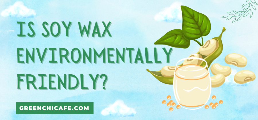 Is Soy Wax Environmentally Friendly? (Answered)