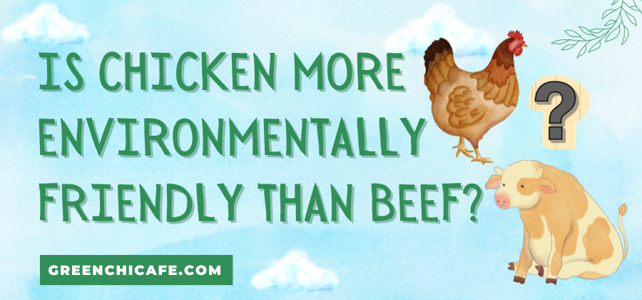 Is Chicken More Environmentally Friendly Than Beef? (Eye-Opening Truth)