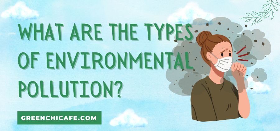 What Are the Types of Environmental Pollution?