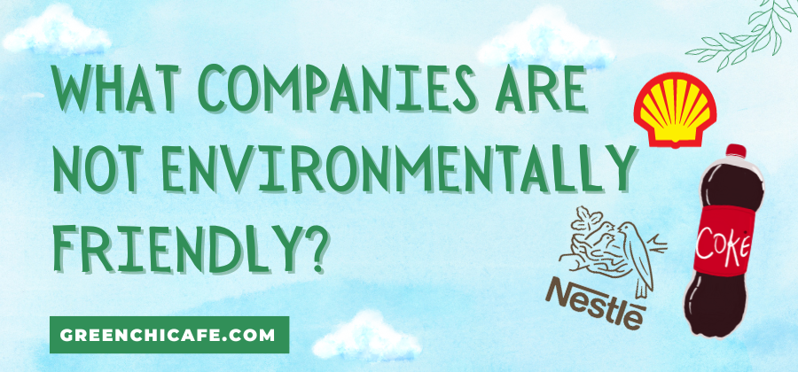 What Companies Are Not Environmentally Friendly