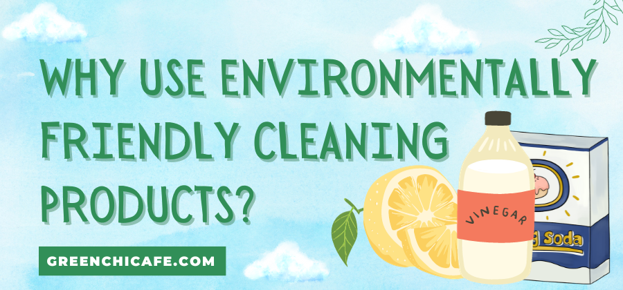 Why Should I Use Environmentally Friendly Cleaning Products? Are they even worth it?